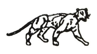 Puma Marble Co in Miami